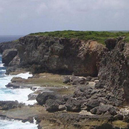 Villa Sous Le Manguier-Anse Bertrand 5Min Plage Buitenkant foto