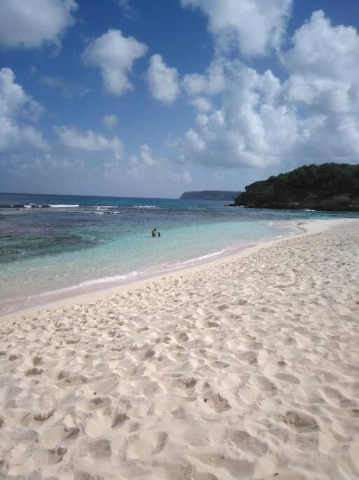 Villa Sous Le Manguier-Anse Bertrand 5Min Plage Buitenkant foto