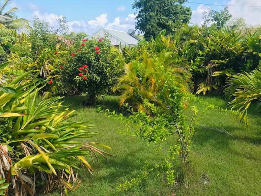 Villa Sous Le Manguier-Anse Bertrand 5Min Plage Buitenkant foto