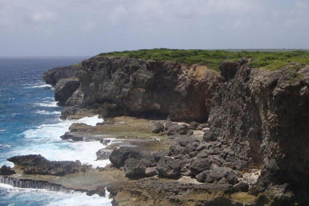 Villa Sous Le Manguier-Anse Bertrand 5Min Plage Buitenkant foto