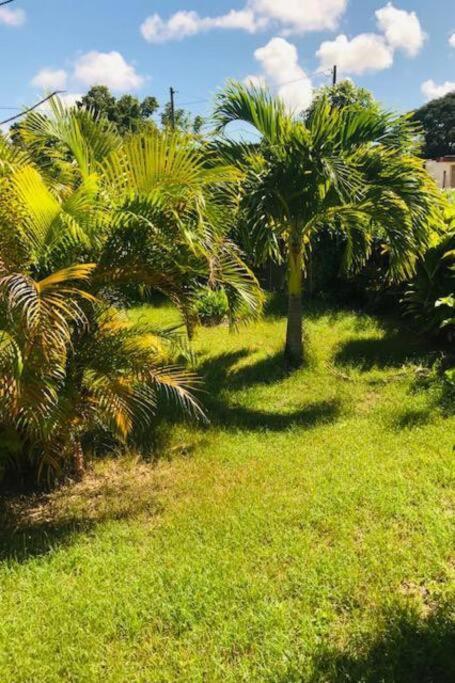 Villa Sous Le Manguier-Anse Bertrand 5Min Plage Buitenkant foto