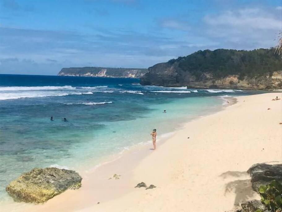 Villa Sous Le Manguier-Anse Bertrand 5Min Plage Buitenkant foto